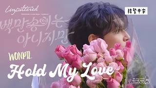 【韓中字】WONPIL元弼 - Hold My Love 백만송이는 아니지만 雖然不是百萬朵花[Lyrics/가사/歌詞]
