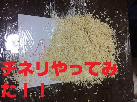 【黄金伝説チネリ】素人にチネリはできるのか！？part１【アイデアボム】