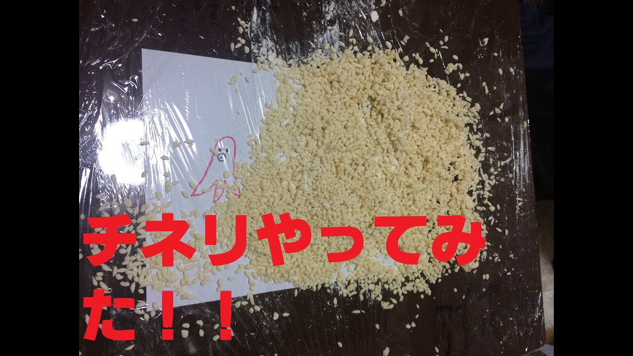 【黄金伝説チネリ】素人にチネリはできるのか！？part1【アイデアボム】 YouTube