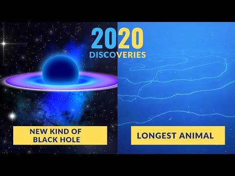 Thrilling Discoveries Made By Scientists In 2020!