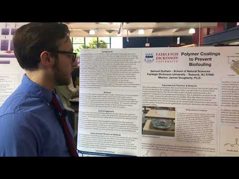 Polymeric Coatings To Prevent Biofouling Of Reverse Osmosis Membranes