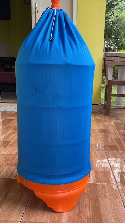 Kerodong Tipis Itu Dipakai Burung Sebab ini #burung #kicaumania #qinarabanyuwangi
