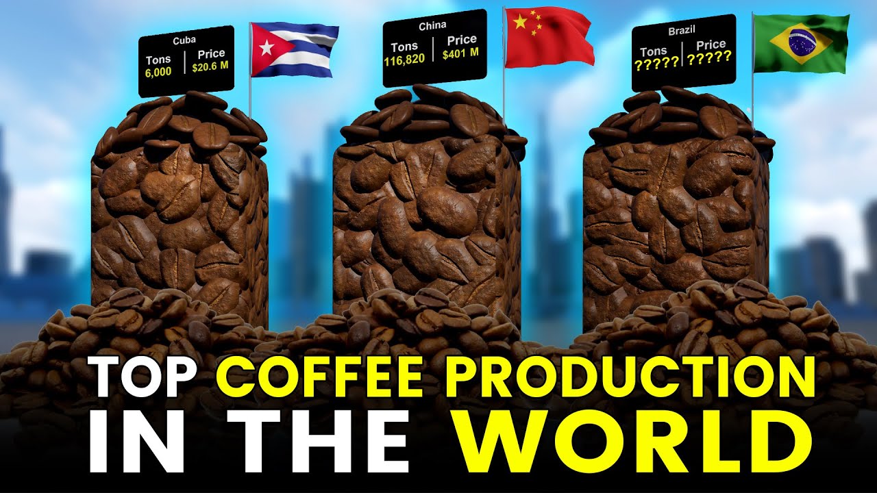 The Top Coffee Production in the World Size Comparison 3D YouTube