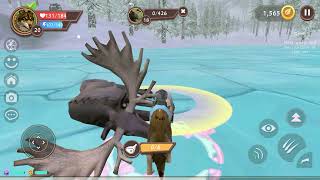 'WildCraft: Animal Sim Online Android GamePlay   Explore, Hunt, Survive! | Gameplay Video #5 by Mobbox US 150 views 2 weeks ago 11 minutes, 27 seconds