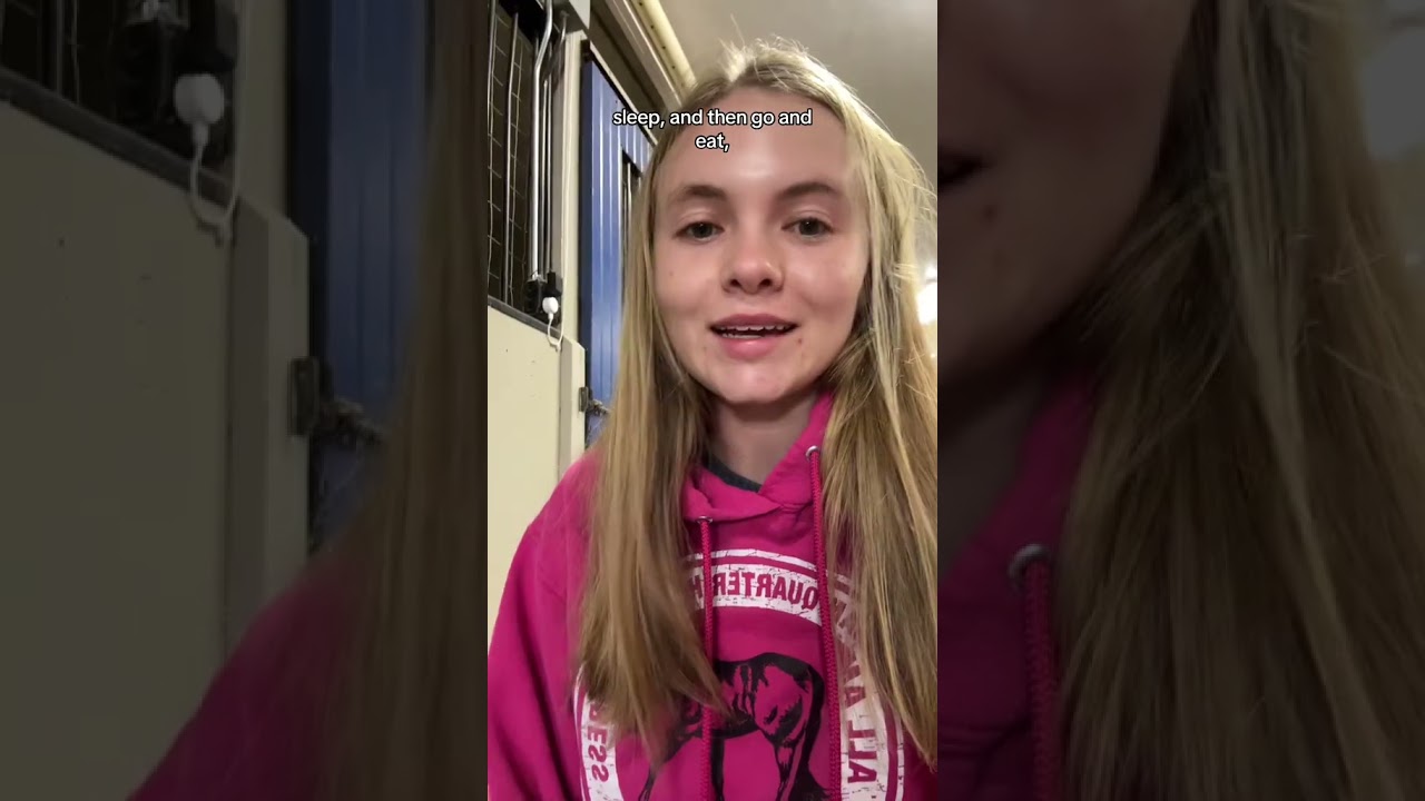 Jack update cat kitty orange broken leg 