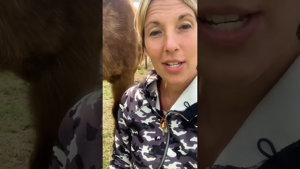 Consistent High cortisol levels can often lead to cushings in horses and people. How you can help