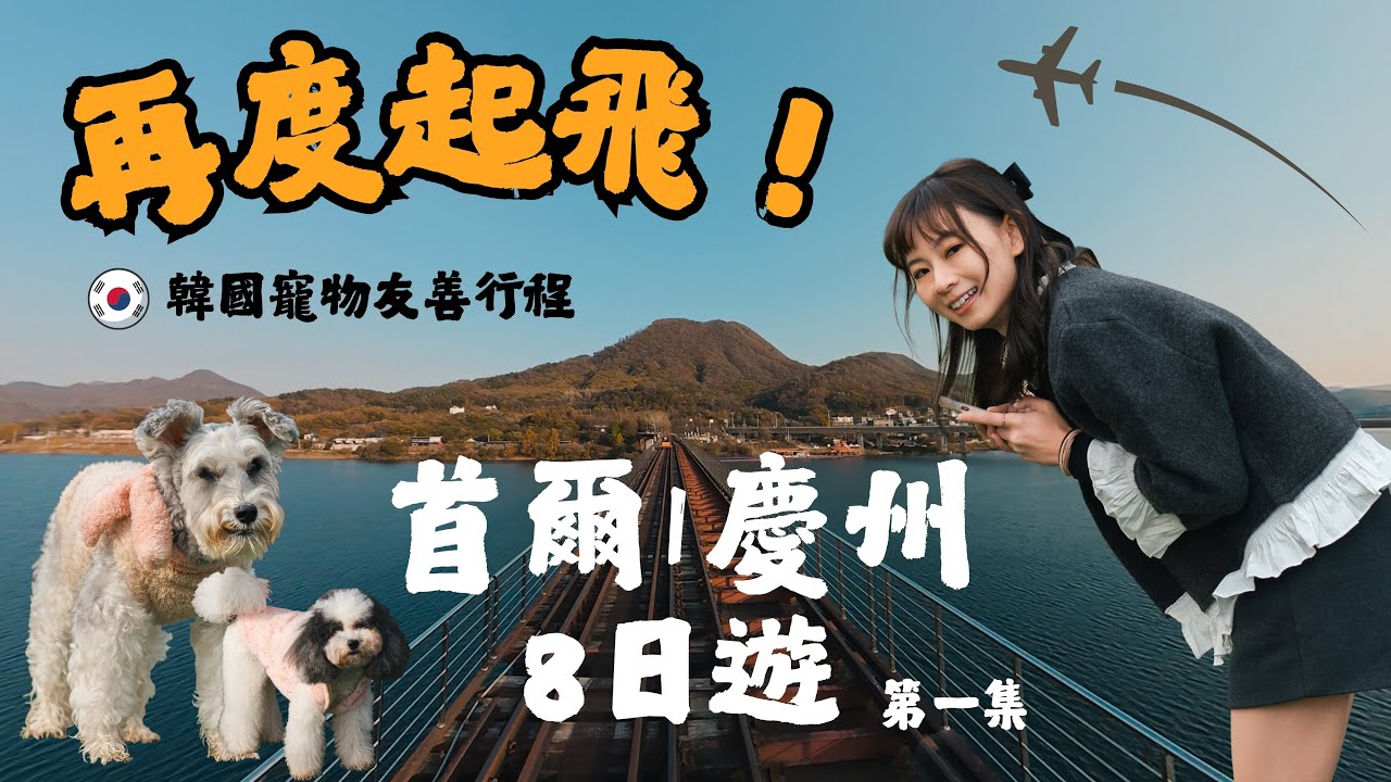 小狗再飛韓國！首爾、慶州八日寵物友善行程大公開（EP1）