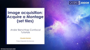 Oxford Instruments | Confocal Tutorials - Image acquisition - Acquire a Montage (set tiles)