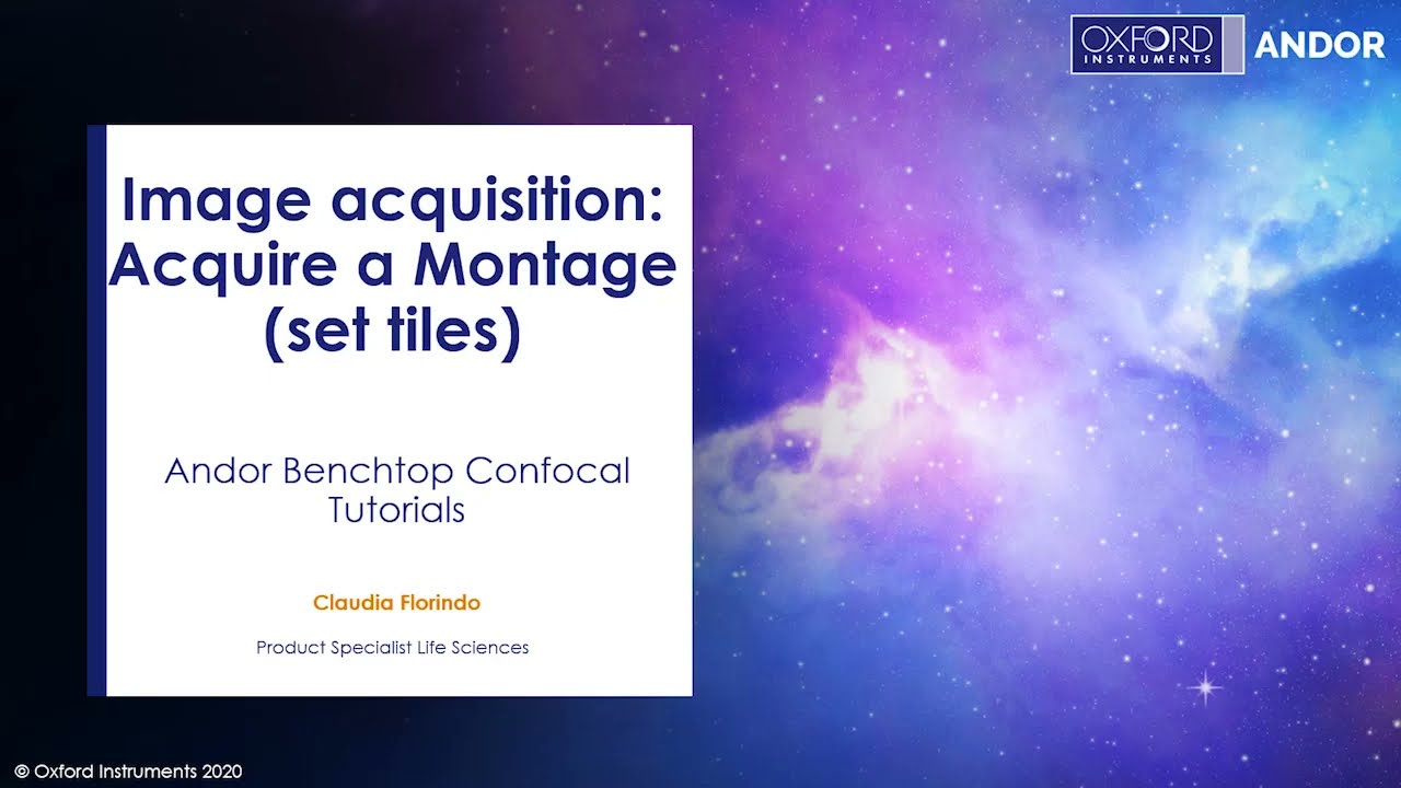 Oxford Instruments | Confocal Tutorials - Image acquisition - Acquire a Montage (set tiles)