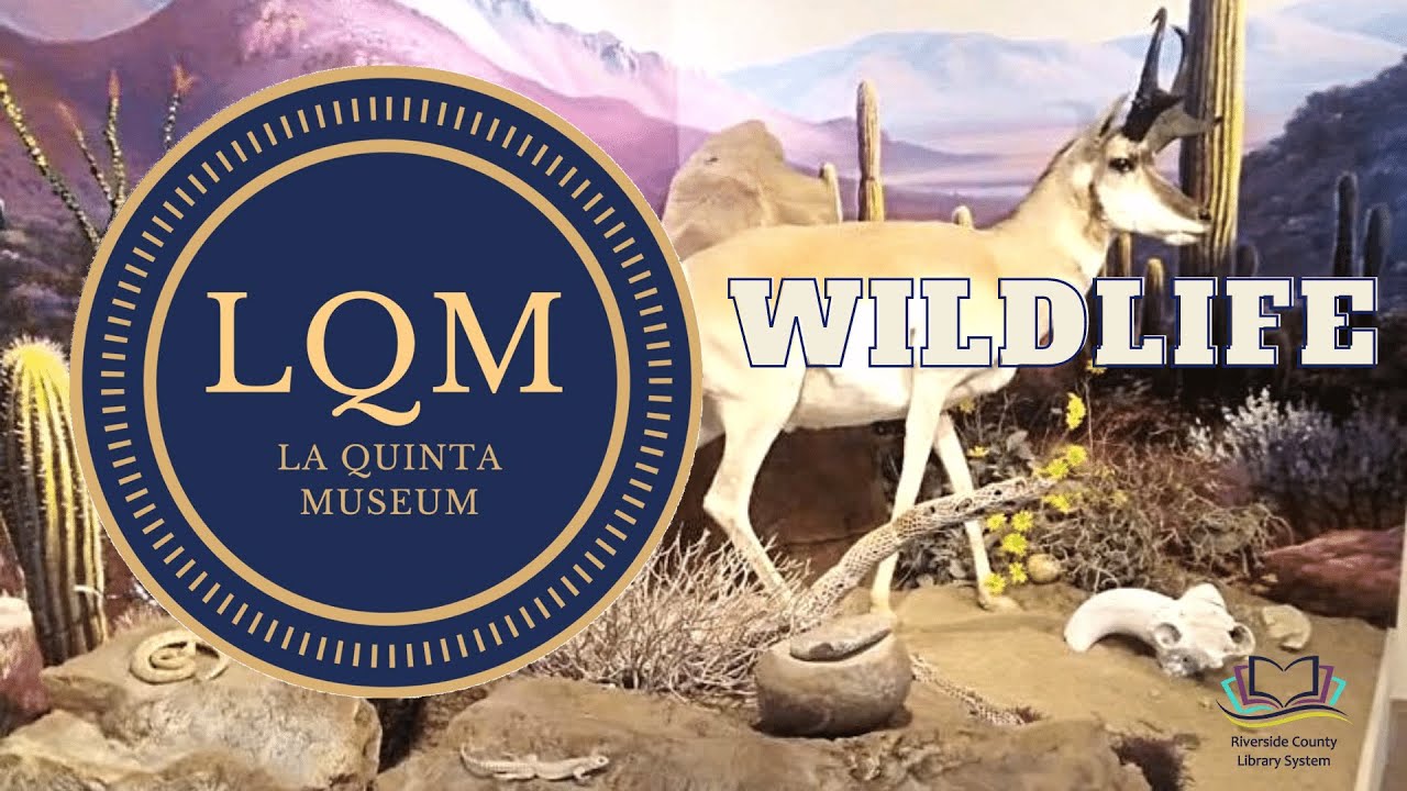 La Quinta Museum's Wildlife Diorama