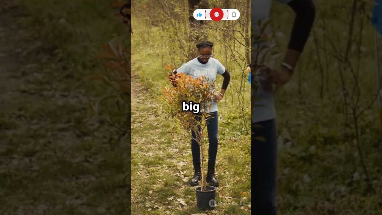 Mind-Blowing Facts About Africa You Didn’t Know! 