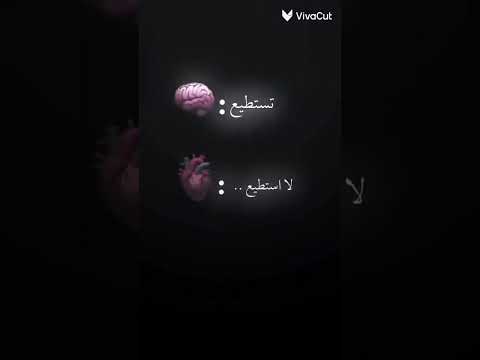 القلب لايستطيع تخلي على شيء بسهولة لأن أدو آية فكرتي  العقل دائما يفكر في المستقبل أكثر