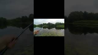 Только прикормил и началось.#прикормкадлярыбалки #прикормка  #fishing#рыбалка #рыбалканапоплавок