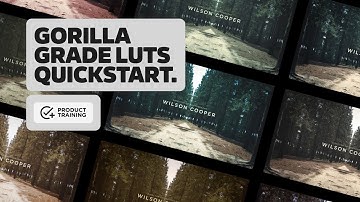 Gorilla Grade LUTs | Greyscalegorilla Product Training