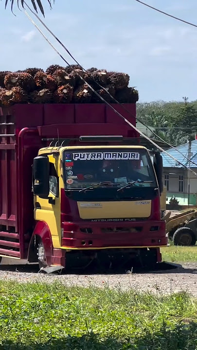 STORY WA TRUK 30 DETIK‼️#trukmania #trukmbois #trukoleng #drivermuda #shorts