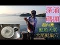 #香港釣魚 #深涌碼頭 #立魚多 #大尾魷仲多