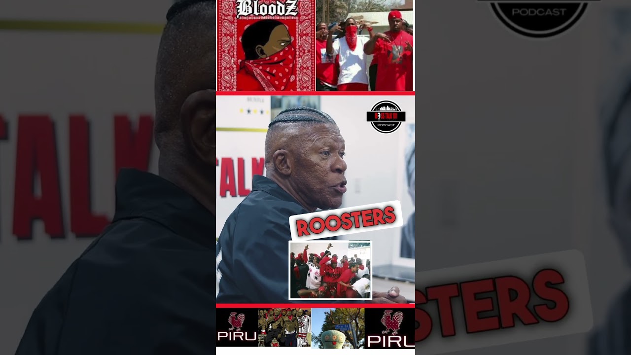 PIRU & BLOODS Are Not The Same OG PIRU SPEAKS! #shorts #bloods #piru #gangs