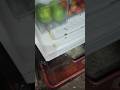 फ्रिज से पानी लीक हो रहा है || #Fridge #Freeze #Fridgewaterleakageproblem