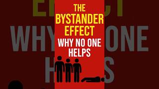 Paradox Playground S1E5 — The Bystander Effect: Why No One Helps