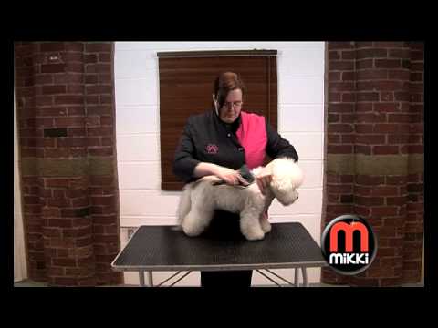 Celebrate National Grooming Week with the 3 Mikki ...