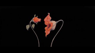 Pink Floyd - Empty Spaces