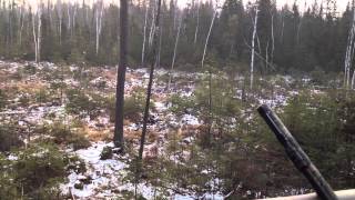 muzzleloader season  2012