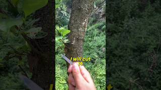 "Cutting Down a Tree With a Nail Cutter EP1 | Upgrading My Weapons".