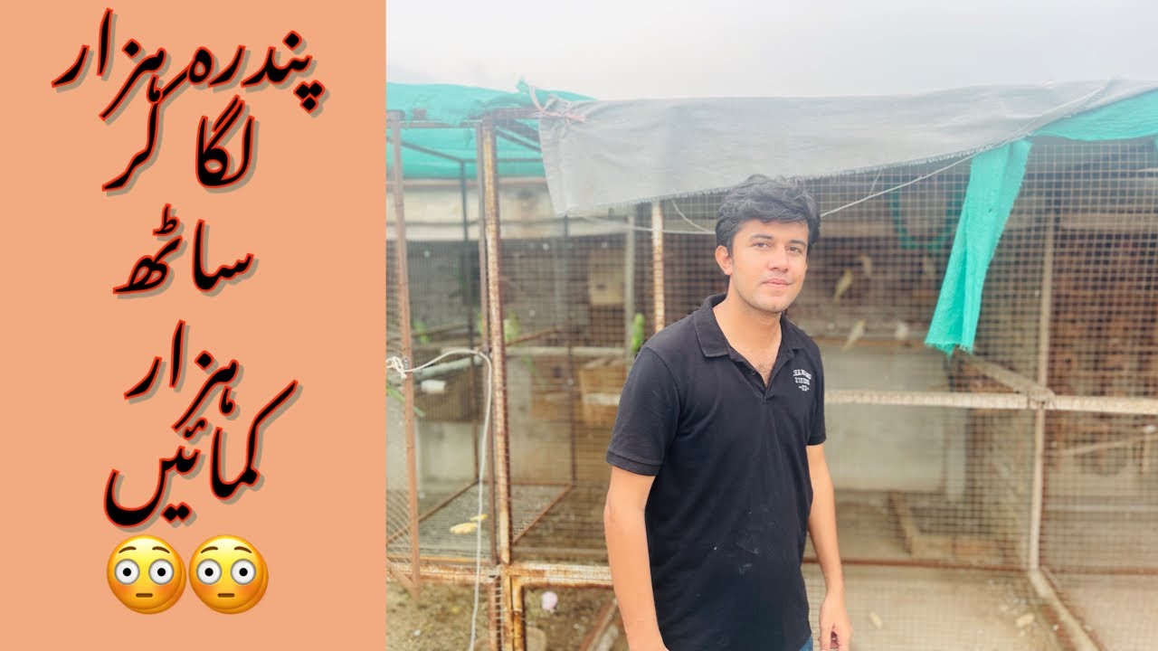 Small investment big Profit 