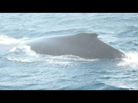 antarctica-2020---from-the-ground