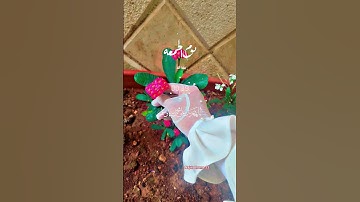 دعاء يوم الجمعة🦋#سورةالكهف ☘️#صلواعليه 🎀#اكسبلور #لايك #تصويري #ترند #فراشةالبيت #دينية