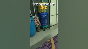 My first loop #beats #music