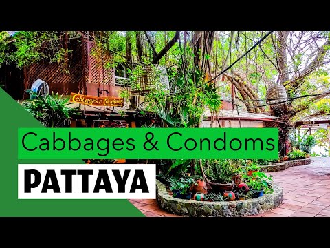 Pattaya Birds and Bees resort. Cabbages and Condoms restaurant. (This is what it looks like)