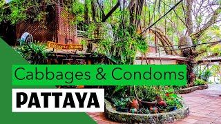 Pattaya Birds and Bees resort. Cabbages and Condoms restaurant. (This is what it looks like)