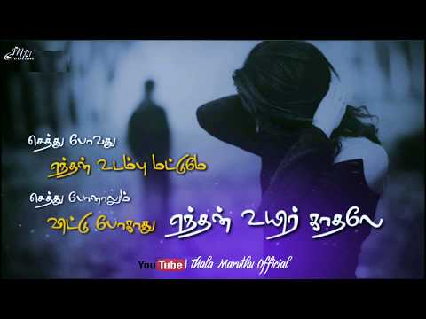 sethu-povathu-unthan-udambu-mattume-|-love-whatsapp-status-video