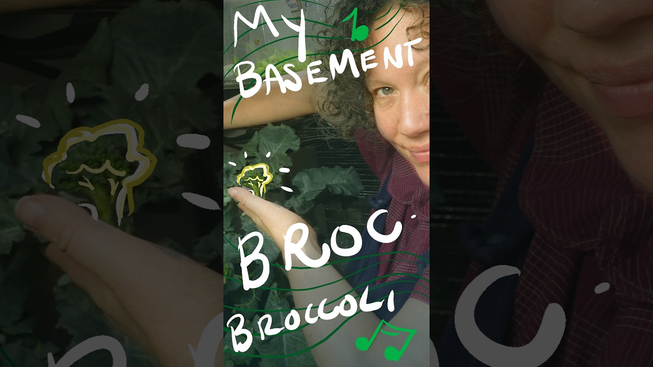 Basement Broccoli