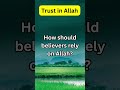 Trust in Allah #Allah, #Prophet Mohamed, #muslim, #islam