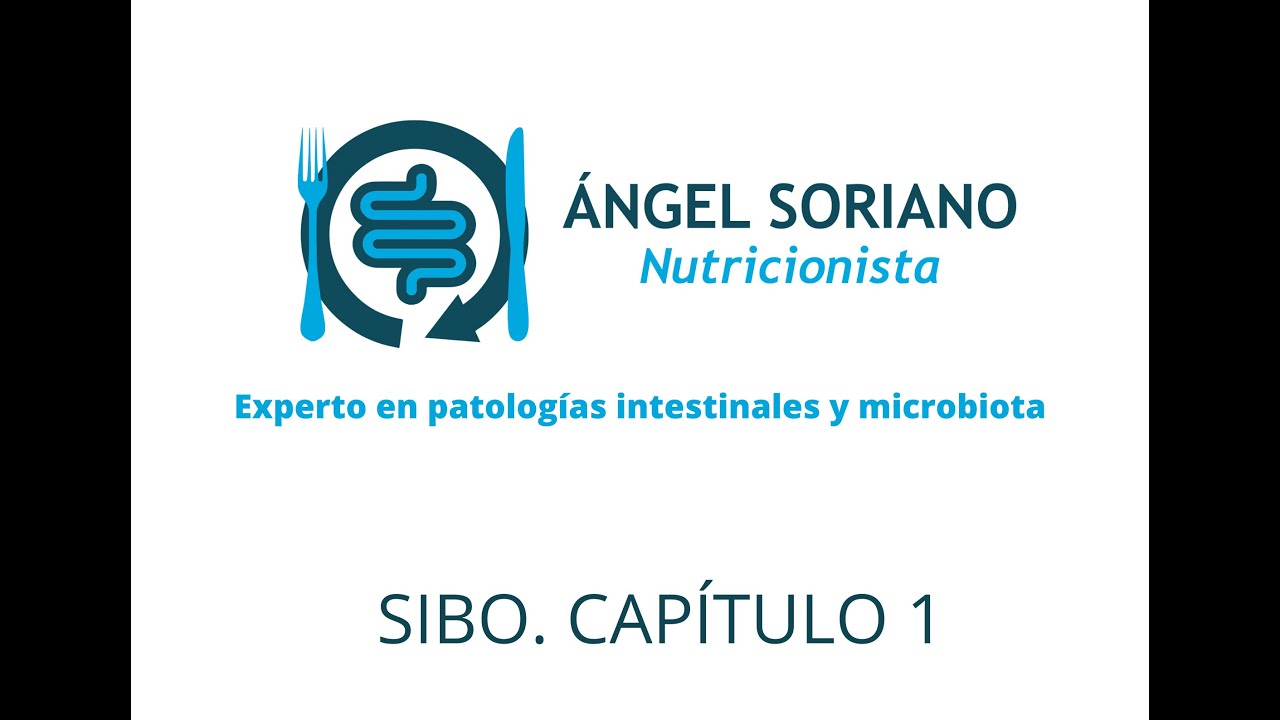 ¿QUÉ ES EL SIBO? SINTOMAS Y CONSECUENCIAS DEL SIBO O DE LA DISBIOSIS INTESTINAL