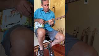 Hotel California on a 3-String Cigar Box Guitar 🎸 #cigarboxguitar