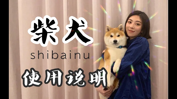 聽說你也想養柴犬？——《 購買飼養柴犬指南 》 - 天天要聞