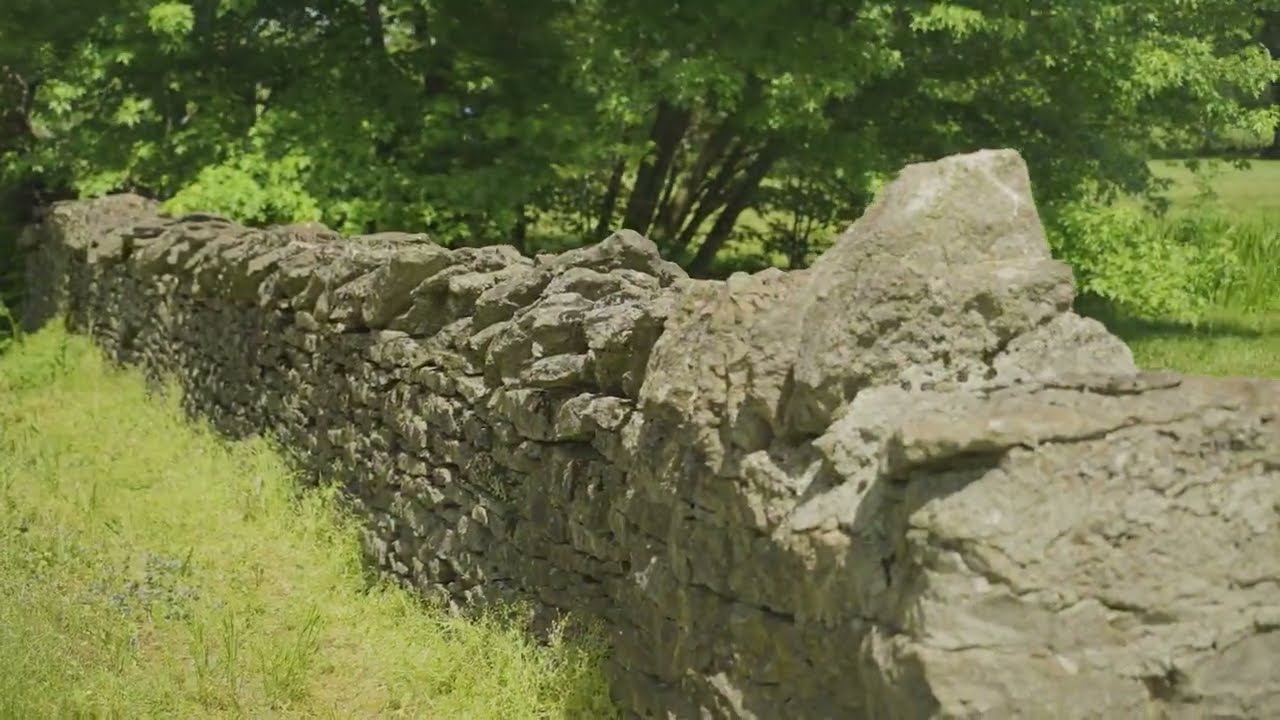 Rarely Offered Bourbon County Family Farm / 435+/- Acres / Green Creek Frontage