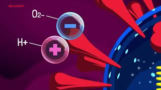 SHARP Plasmacluster - How Plasmacluster Works