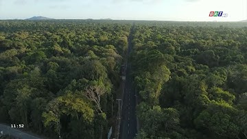 Huyện Xuyên Mộc chung tay bảo vệ và phát triển rừng | BRTgo