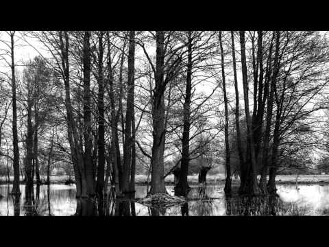 I Am Sonic Rain - When Everything Turns to Blue