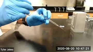 How to Make a Filter-Tip Pipette