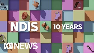 Successes and failures of the NDIS | ABC News