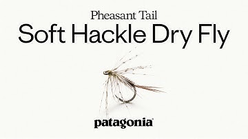 Pheasant Tail Soft Hackle Dry Fly by Yvon Chouinard | Fly Recipe