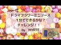 ドライフラワーミニリース　１分でできるかな？　チャレンジ！！　　by　MYRTE