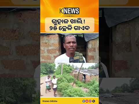 ବାଙ୍କୀରେ ରାତିରେ ଗୁହାଳରେ ପଶିଲେ ଚୋର। ଏକାଥରକେ ୨୫ ଛେଳି ନେଇ ଚମ୍ପଟ। | Knews Odisha
