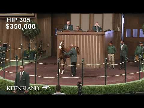 Just Before Dawn sells for $625,000 at 2021 Keeneland November Sale