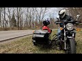 Rudi the Sidecar Dog Rocking It in His First Motorcycle Ride of the Season
